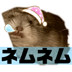 ayumi_20250808235600