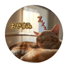 kyanta_20250808161132