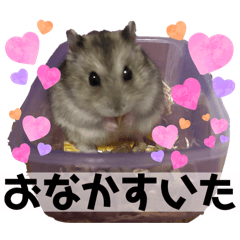 ayumi_20250808204355