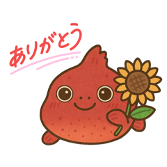 【夏】うおうおダンゴウオ