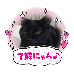 mario_20250808171217