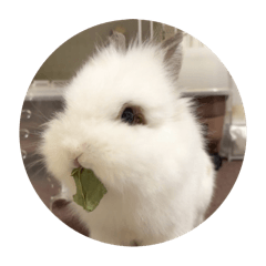 Takeshi_20250808171644