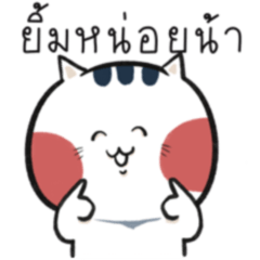 แมวฟูจิพูดไทย
