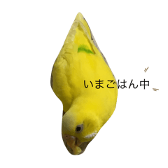 m_20250808214848