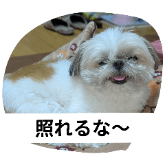 suzu_20250808214838