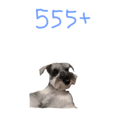 Summer_20250808201740