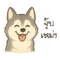 Mini Huskyy