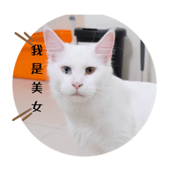 我們四兄弟姐妹