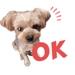 wakana_20250808192222