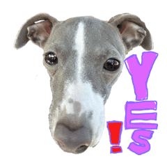 tamago_20250808165256