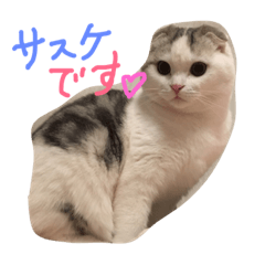 sasukechin