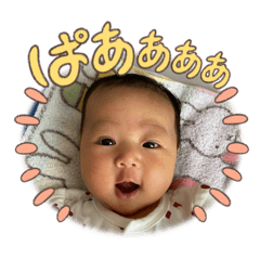 koto_20250808174652