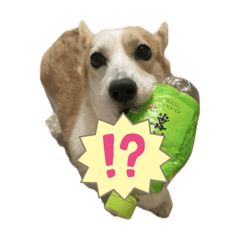 momolove_20250809075643