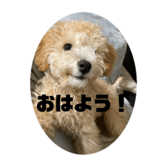 mochi_20250808205615