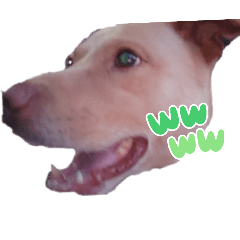 ka-ka_20250808221443