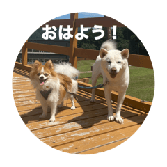 kana_20250809091120