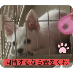 Angel1771_20250809105406