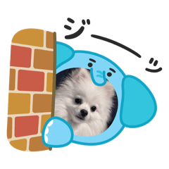 Justin_20250809105055