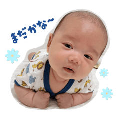 hachi_20250809105326
