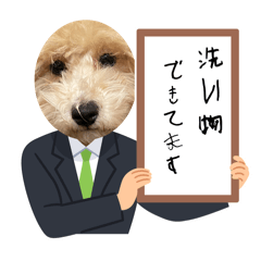 Sakura_20250809105402