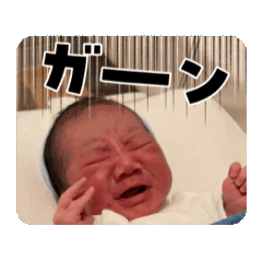 miho_20250809111915