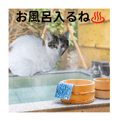 charm_20250809002951