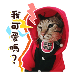 阿迪來了