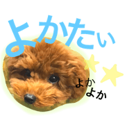 ANNE's STAMP 2