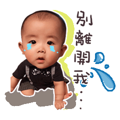 菜圃蛋的喜怒哀樂