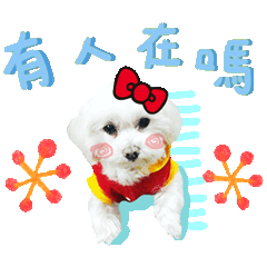 Q比與牛