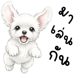 RUGA MALTA PUPPY LOVE LOVE