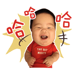 又又姊又又弟