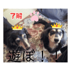 Riri_20250809152109