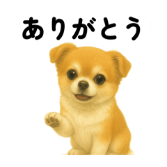 Kabosu & Lime_20250809103056