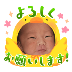 CocoA_20250809090619