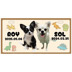 maimai_20250809165107