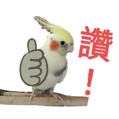 番麥 菜頭 芒果 古錐