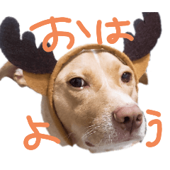 ka-ka_20250809115531