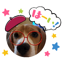 kinako_20250809114443