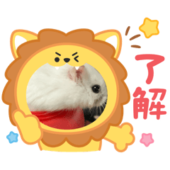 hinata_20250809164012