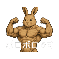 koko_20250810073217
