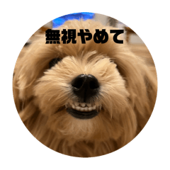 michan_20250809192141