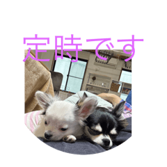 Yukio_20250809174216