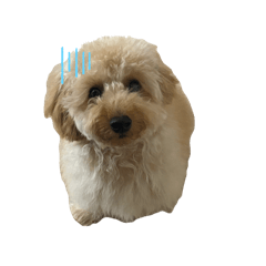 NATSUMI_20250809202530