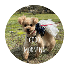 ARISA_20250809203131