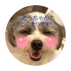 nanako_20250809204323