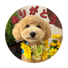 Conomi_20250809214655