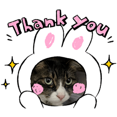 katsu_20250809214421