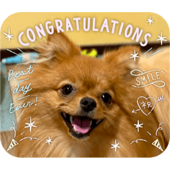 KAORITA_20250809213843