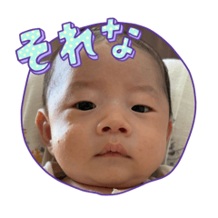 chery pie_20250810000312